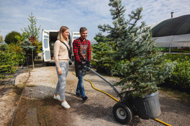 Best Commercial Tree Services  in USA